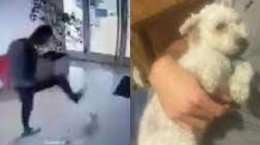 Condena, multa y curso para manejar la ira: la justicia resolvió el caso del referí que pateó a una perrita