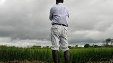 La chancha y los veinte: un informe revela que por la guerra en Ucrania crecieron 25% las ganancias del Campo