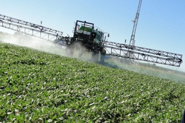 Cuidado: “Las verduras que comemos en La Plata nos están matando”, denunció el e concejal Oscar Vaudagna