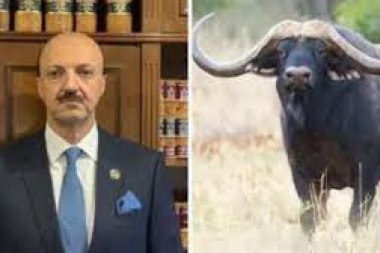 En defensa propia: un búfalo mató a un mexicano que vino a Argentina a matar por placer