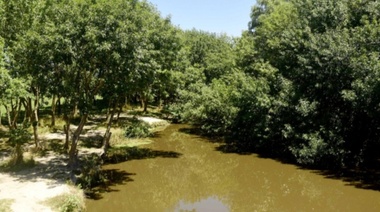 No se toca: la Muni platense ratificó que no se puede hacer negocios inmobliarios en la zona del humedal arroyo El Pescado