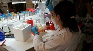 A través de la CIC: el gobierno provincial aumentó un 233% la adjudicación de becas para estudiantes universitarios avanzados