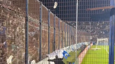 ¿Quién responde por este animal?: otra vez dio la nota la "seguridad" en cancha del Lobo
