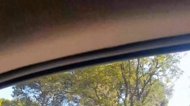 La Matanza: una mujer se parapetó en su propiedad para resistir una toma que según denuncia contaría con aval político, policial y judicial