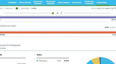 En La Plata una sacó 14 votos: revelan detalles de las estafas con listas truchas para quedarse con el dinero de la impresión de boletas