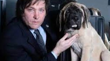 Viene con collar y chaleco de fuerza: venden la secuencia de ADN del perro muerto de Milei