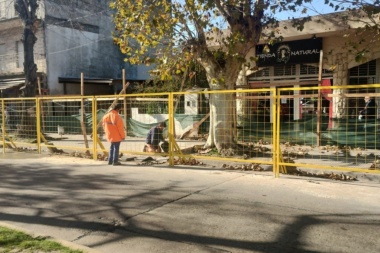 Veredas,canteros y luces: avanza la remodelación del centro comercial de Villa Elisa