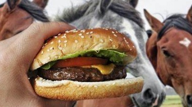 "¿Mamá, el paty relincha?": denuncian robo de caballos para hacer hamburguesas, choris y milanesas