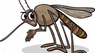El Raid ya les parece perfume: investigación bonaerense descubre tres mutaciones de mosquitos resistentes a los insecticidas