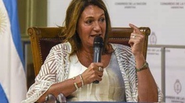 Diputada radical con peluca que impulsa Ficha Limpia tiene un marido flojito de papeles