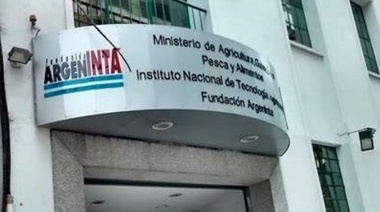 Milei empezó a descuartizar el INTA con el remate de un edificio en 18.500.000 U$A