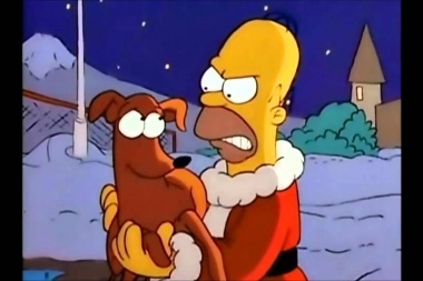Nos gobiernan Los Simpson: ahora Milei se ofreció adoptar a Dylan (para que Alberto no le pegue)