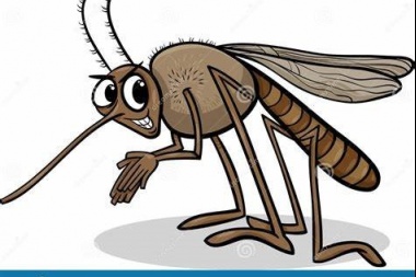 El Raid ya les parece perfume: investigación bonaerense descubre tres mutaciones de mosquitos resistentes a los insecticidas