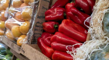 Informe FundPlata: la Canasta alimentaria en La Plata en junio tuvo una variación de 0,8% y el rubro verdulería desplazó al de carnicería