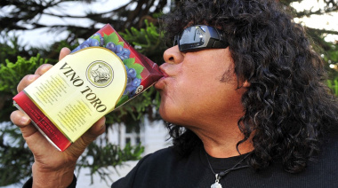 ¿Habrá entendido la indirecta: Bullrich se presentó en el Senado y Villarruel la recibió con un vino de regalo