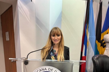 Verano dramático: pedidos para ver a los hijos, entre los más solicitados en Feria Judicial