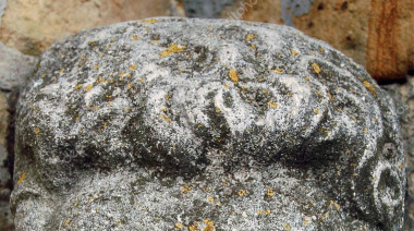 Cara de piedra: Milei dijo que no hay inflación sino "salto de precios"