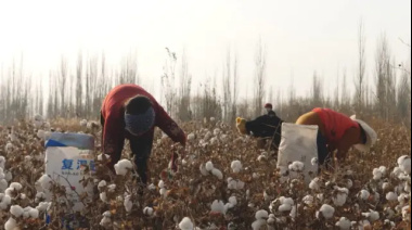 Trabajo esclavo, explotación infantil: estremecedor informe sobre las fábricas de ropa "buenas y baratas" que están destruyendo la industria textil argentina