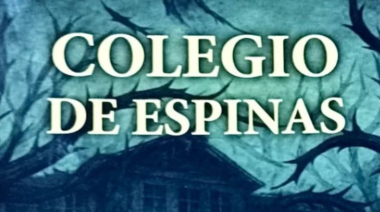 El bullying en carne viva contado por una niña de 14 años: impresionante libro de Mia Belástegui