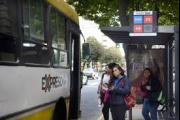 Justo y necesario: proponen colocar carteles de asistencia a víctimas de violencia de género en paradas de colectivos en La Plata