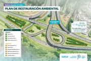 Obras por la bajada de City Bell: por cada árbol removido, AUBASA plantará cinco