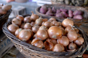 Informe FundPlata: en La Plata, la canasta alimentaria registró una variación del 0,9% en julio
